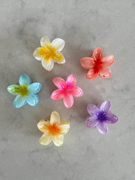 Medium Pastel Hibiscus Claw Hair Clips